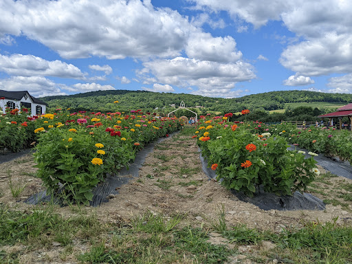 Orchard «Weed Orchards & Winery», reviews and photos, 43 Mt Zion Rd, Marlboro, NY 12542, USA
