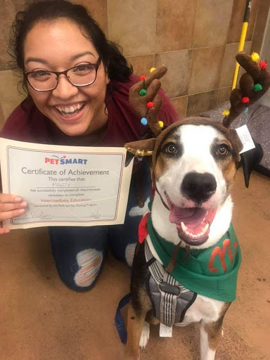 Pet Supply Store «PetSmart», reviews and photos, 19075 Interstate 45 S, Shenandoah, TX 77385, USA