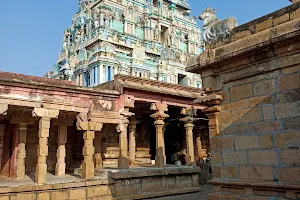 SCN048 Thirukadaiyur Mayanam Shiva Temple image