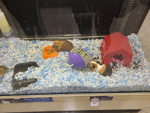 Pet Supply Store «PetSmart», reviews and photos, 401 S Mt Juliet Rd #645, Mt Juliet, TN 37122, USA