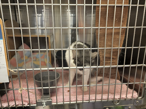 Pet Supply Store «PetSmart», reviews and photos, 14290 Plymouth Ave, Burnsville, MN 55337, USA