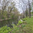 Morrow's Meadow