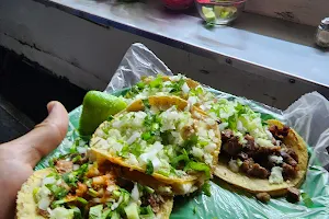 Tacos San Antonio image