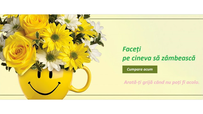 Comentarii opinii despre Flori-Naturale.ro