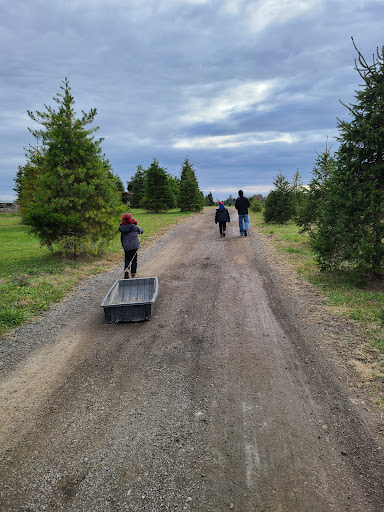 Christmas Tree Farm «Piney Acres», reviews and photos, 1115 E 1000 N, Fortville, IN 46040, USA