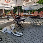 Photo n°1 de l'avis de Roland.r fait le 13/08/2020 à 19:43 sur le  Landhotel Galland Im kühlen Grunde à Dinslaken