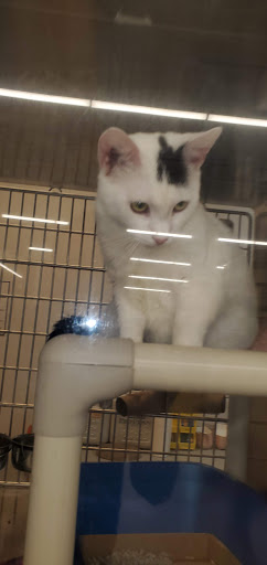 Pet Supply Store «PetSmart», reviews and photos, 155 E Rte 59, Nanuet, NY 10954, USA