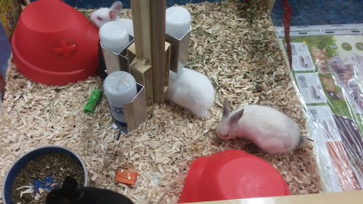 Pet Supply Store «Pet Supermarket», reviews and photos, 3405 Dallas Hwy, Marietta, GA 30064, USA