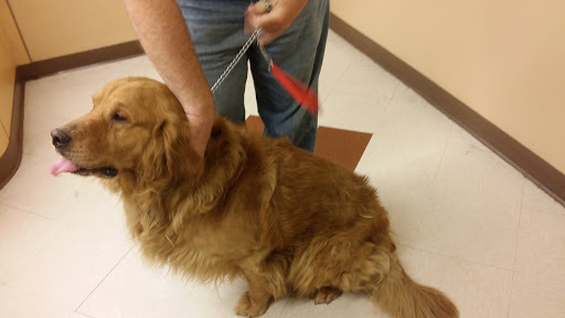 Pet Supply Store «PetSmart», reviews and photos, 5241 Frederica St, Owensboro, KY 42301, USA