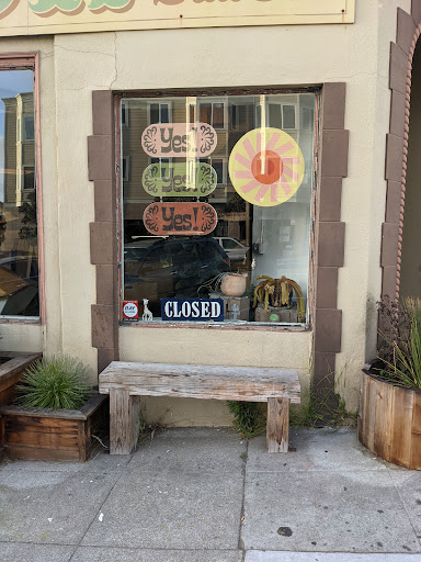 Surf Shop «Mollusk Surf Shop», reviews and photos, 4500 Irving St, San Francisco, CA 94122, USA