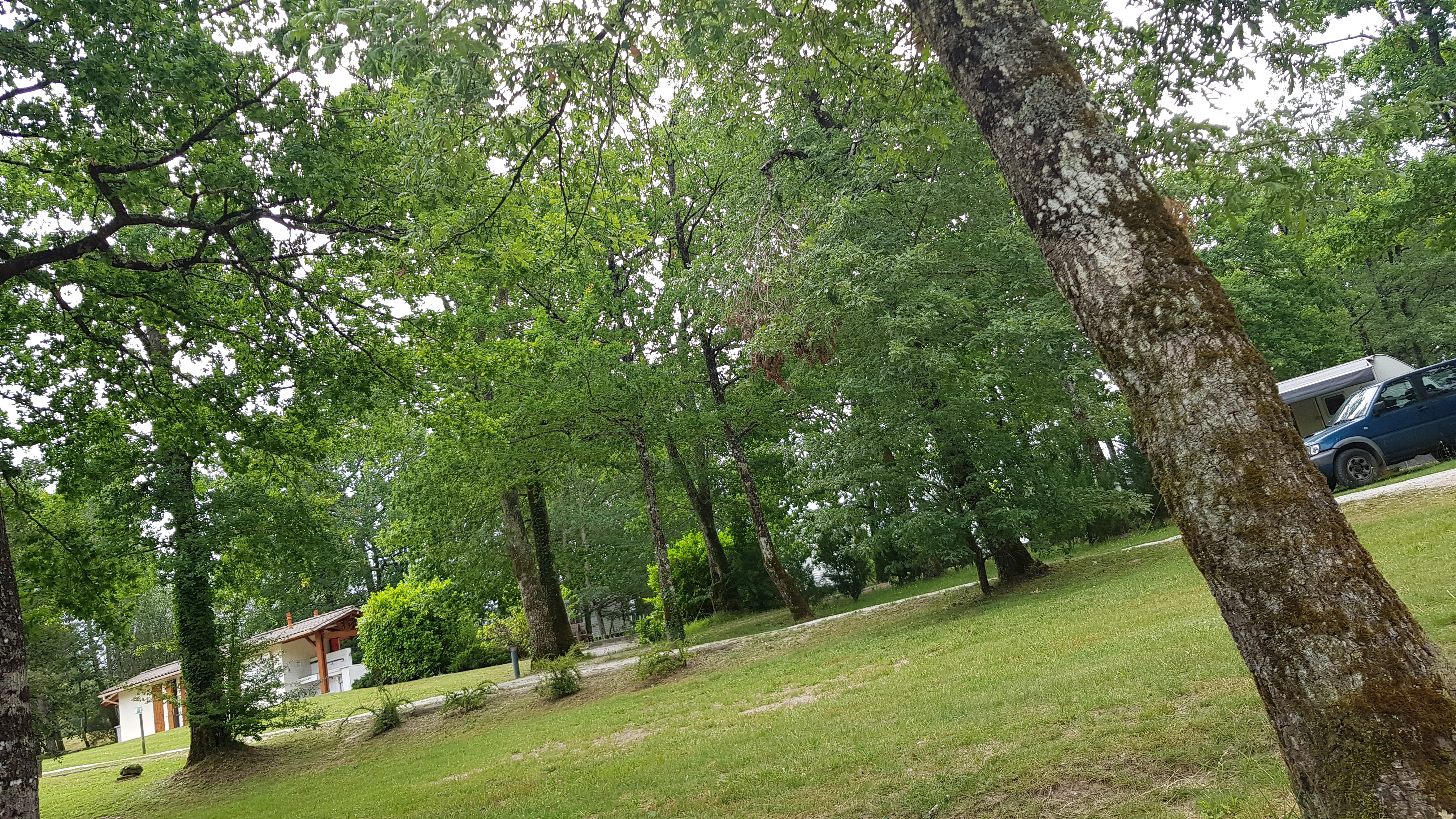 Photo n° 4 de l'avis de Golgotai. fait le 05/07/2019 à 12:12