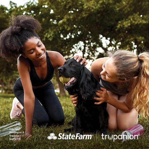 Auto Insurance Agency «State Farm: Lavette Jones», reviews and photos