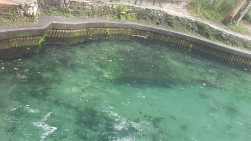 Canoe & Kayak Rental Service «Wekiva Island», reviews and photos, 1014 Miami Springs Dr, Longwood, FL 32779, USA