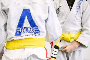 A-Force Brazilian Jiu Jitsu Academy - Great Neck image