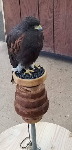 Pet Supply Store «Capital Pet», reviews and photos, 17500 Cicero Ave, Country Club Hills, IL 60478, USA