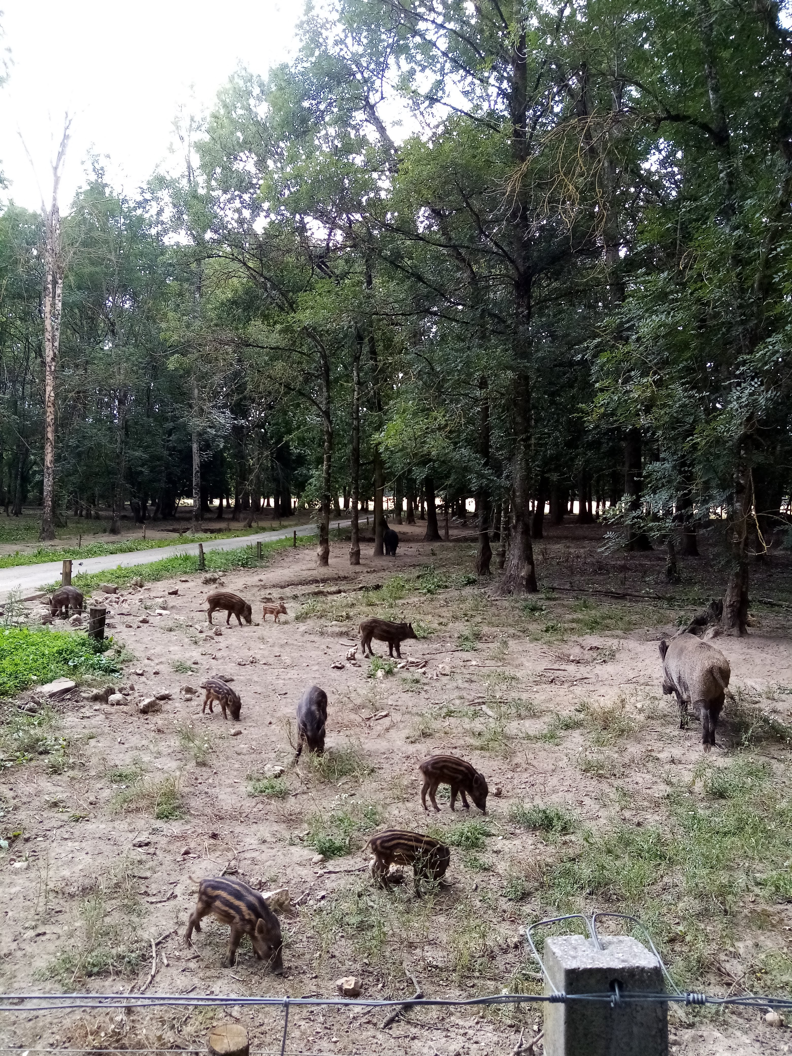 Photo n° 39 de l'avis de Aurelie.u fait le 17/08/2021 à 19:49