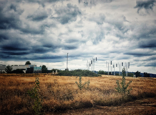 Tourist Attraction «A Sound Garden», reviews and photos, 7600 Sand Point Way NE, Seattle, WA 98115, USA