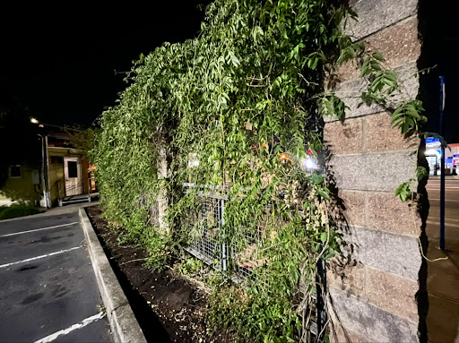 Grocery Store «New Seasons Market Arbor Lodge», reviews and photos, 6400 N Interstate Ave, Portland, OR 97217, USA