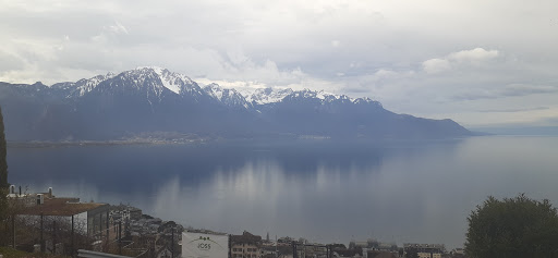 Movie Theater «AMC Mayfair Mall 18», reviews and photos, 2500 N Mayfair Rd M186, Wauwatosa, WI 53226, USA