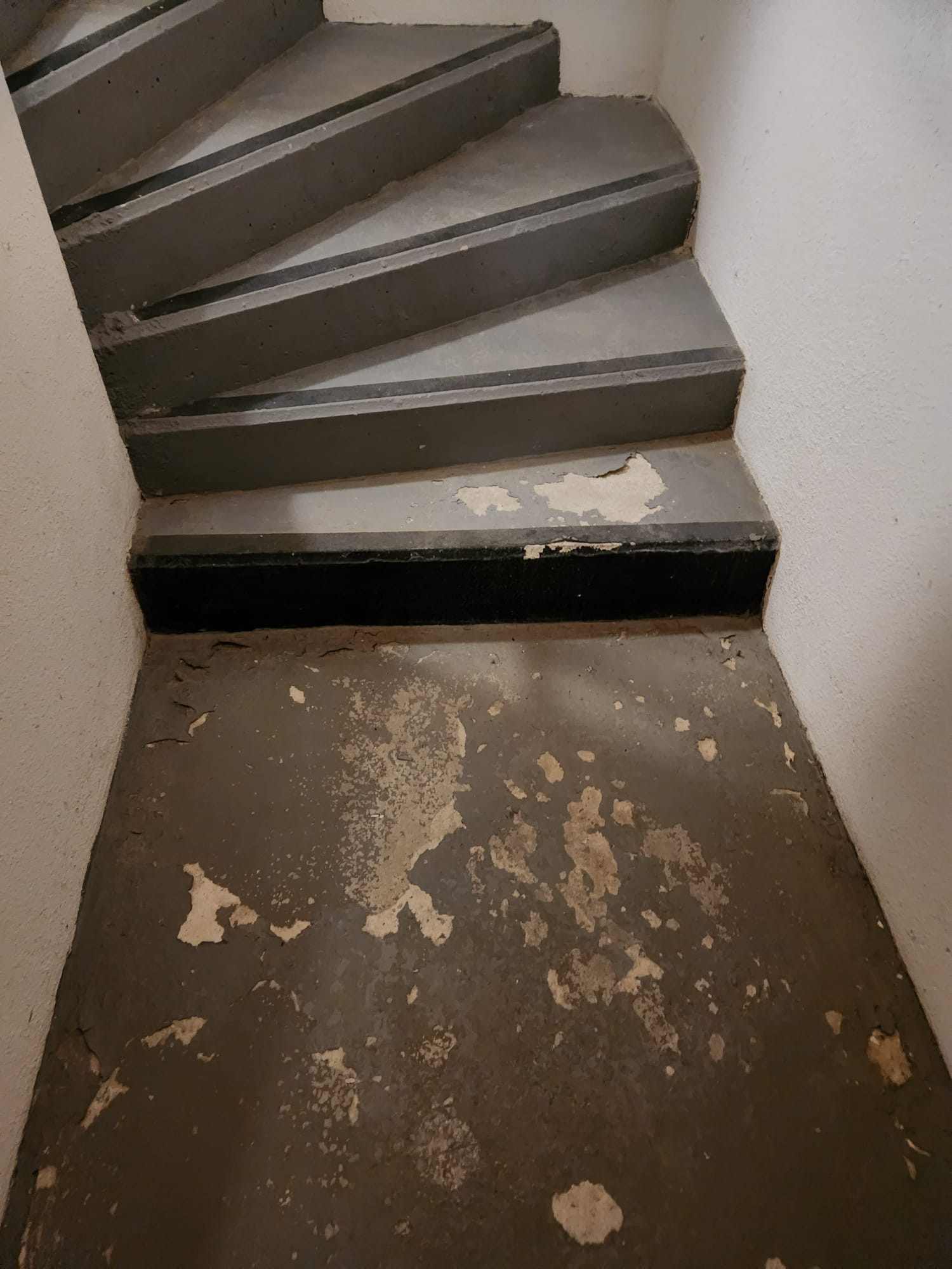 Photo n° 3 de l'avis de E.N fait le 31/12/2022 à 21:29