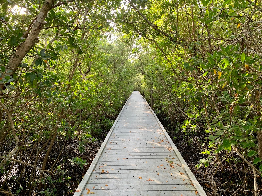 Glover Bight Trail