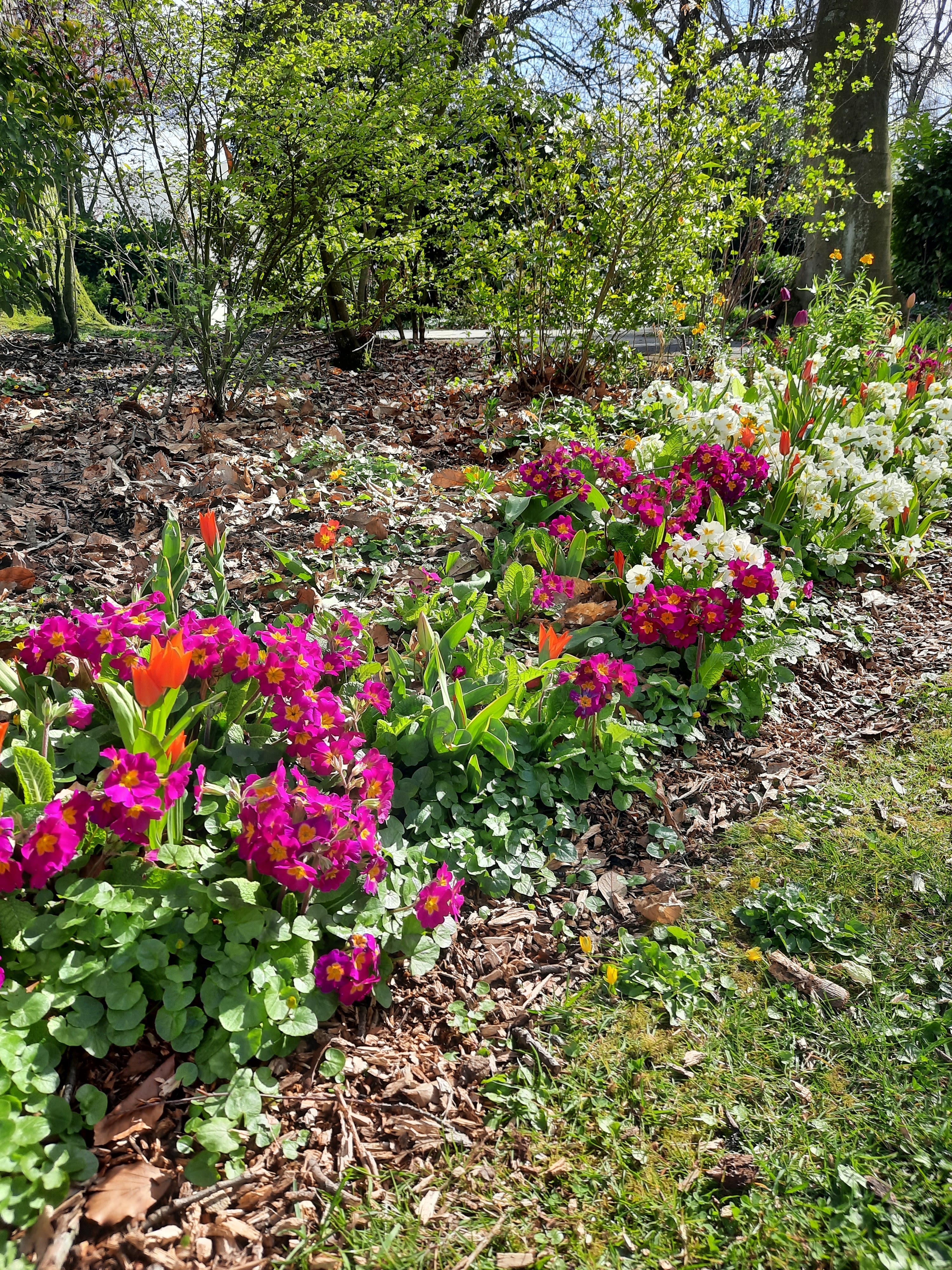Photo n° 1 de l'avis de Moi.u fait le 11/04/2021 à 18:04