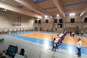 Palestra della Scuola Media "Anna Frank" image