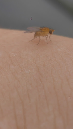 Park «Sanlando Park», reviews and photos, 401 W Highland St, Altamonte Springs, FL 32714, USA