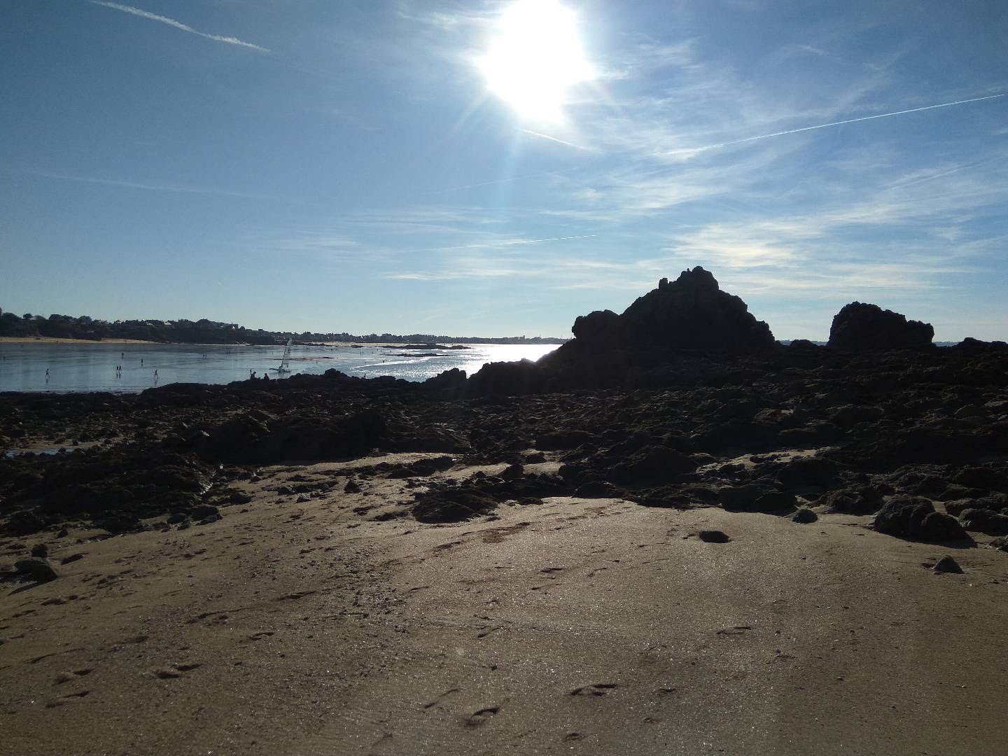 Photo n° 1 de l'avis de pierre-charles.e fait le 01/11/2019 à 18:58