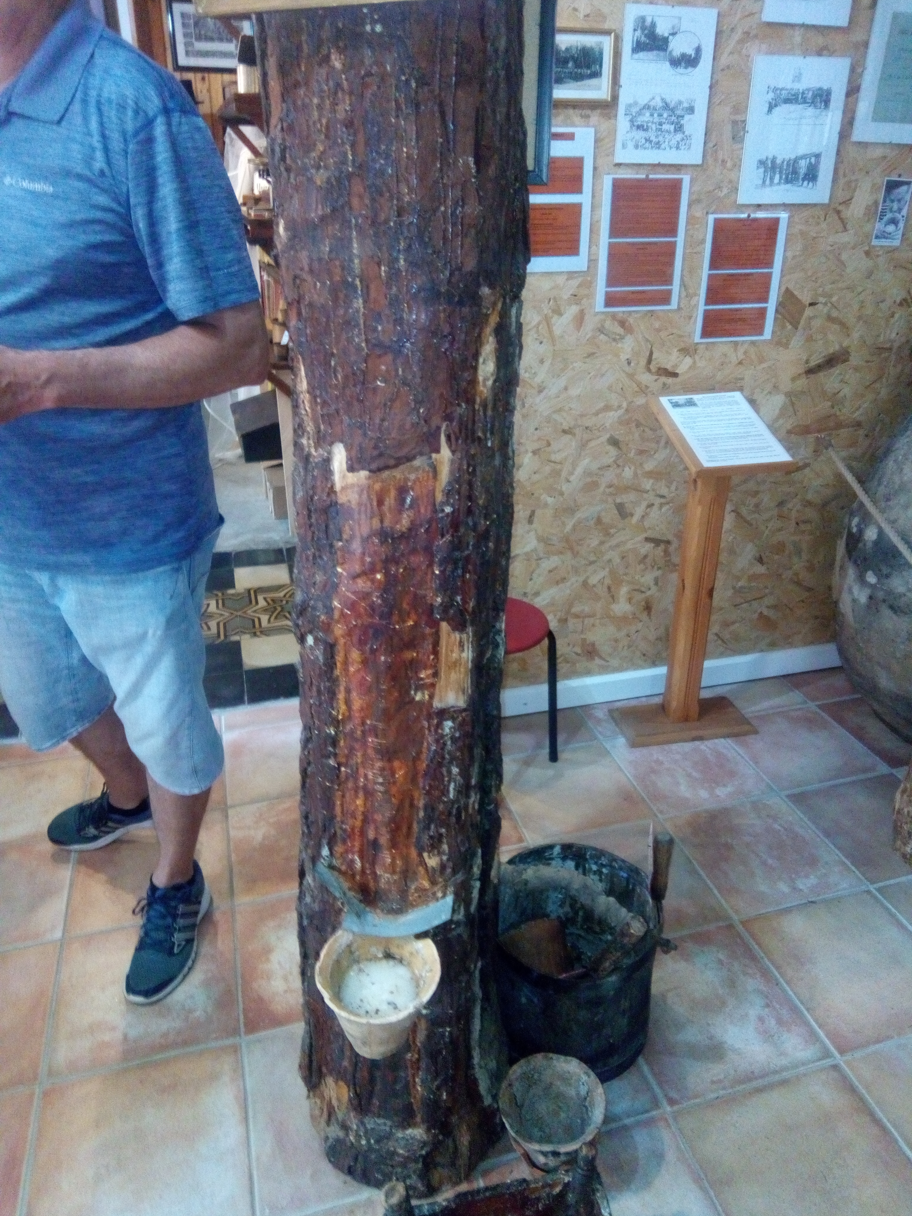 Photo n° 5 de l'avis de Cindy.i fait le 07/07/2018 à 16:20