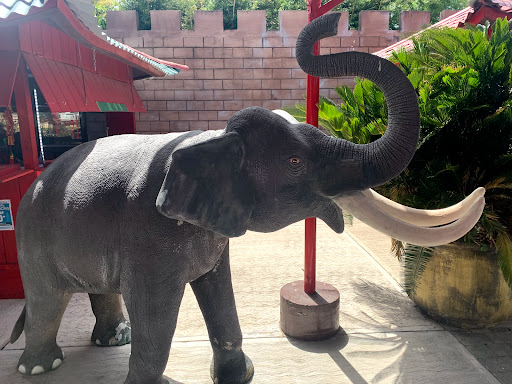 Amusement Center «Lucky Land», reviews and photos, 8625 Airline Dr, Houston, TX 77037, USA