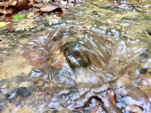 Nature Preserve «Eidolon Nature Preserve», reviews and photos, 2146 Orleans Rd, Great Cacapon, WV 25422, USA