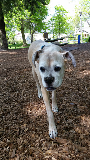 Park «Wallace City Park», reviews and photos, 1600 NW 25th Ave, Portland, OR 97210, USA