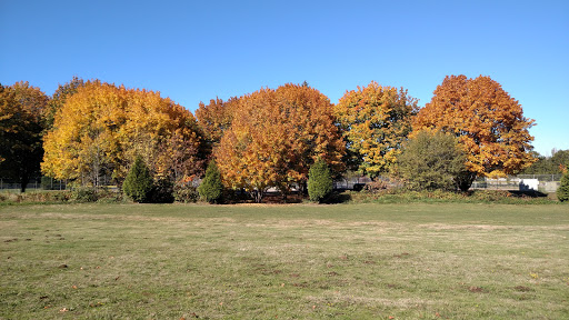 Park «Marymoor Park», reviews and photos, 6046 West Lake Sammamish Pkwy NE, Redmond, WA 98052, USA