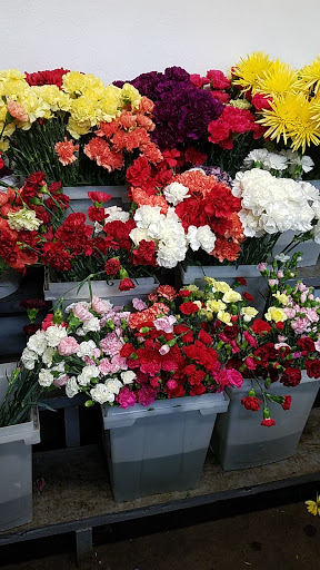 Florist «Swan Floral & Gift Shop», reviews and photos, 4311 Dixie Hwy, Erlanger, KY 41018, USA