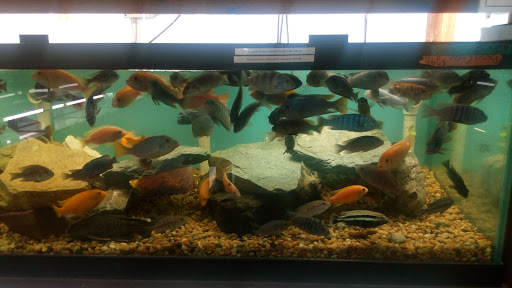 Pet Store «Forest Lake Pets», reviews and photos, 120 Lake St N, Forest Lake, MN 55025, USA