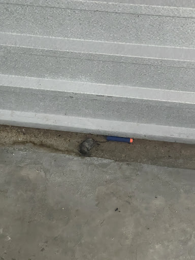 Self-Storage Facility «Safe & Secure Self Storage Belleville», reviews and photos, 20 Mill St, Belleville, NJ 07109, USA