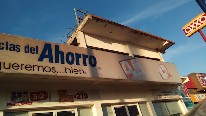 Farmacia Del Ahorro, , Regiomontano