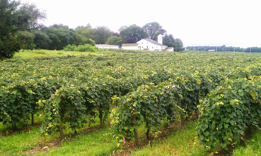 Winery «Presque Isle Wine Cellars», reviews and photos, 9440 W Main St, North East, PA 16428, USA