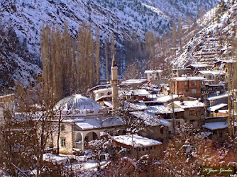 Taşkıran Köyü Sarıgöl Camii