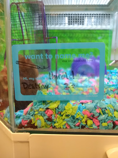 Pet Supply Store «PetSmart», reviews and photos, 3220 W Shaw Ave, Fresno, CA 93711, USA