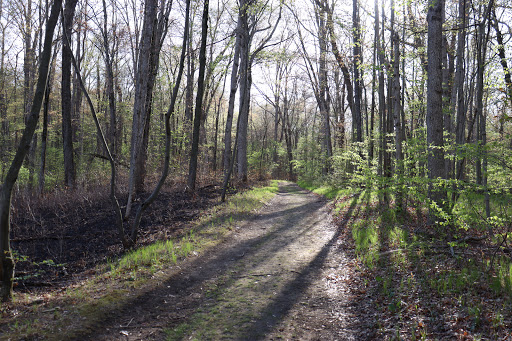 Park «Algonac State Park», reviews and photos, 8732 N River Rd, Marine City, MI 48039, USA