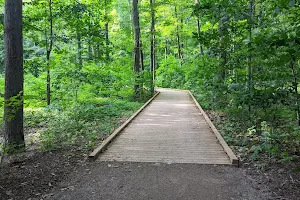 Creek Path Woods image