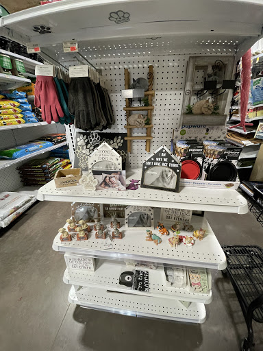 Hardware Store «Ace Hardware of Sun City Center», reviews and photos, 1619 Sun City Center Plaza, Sun City Center, FL 33573, USA