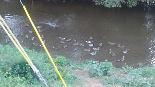 Shopping Mall «Village Center Mall», reviews and photos, 400 Village Center Rd, Harlan, KY 40831, USA