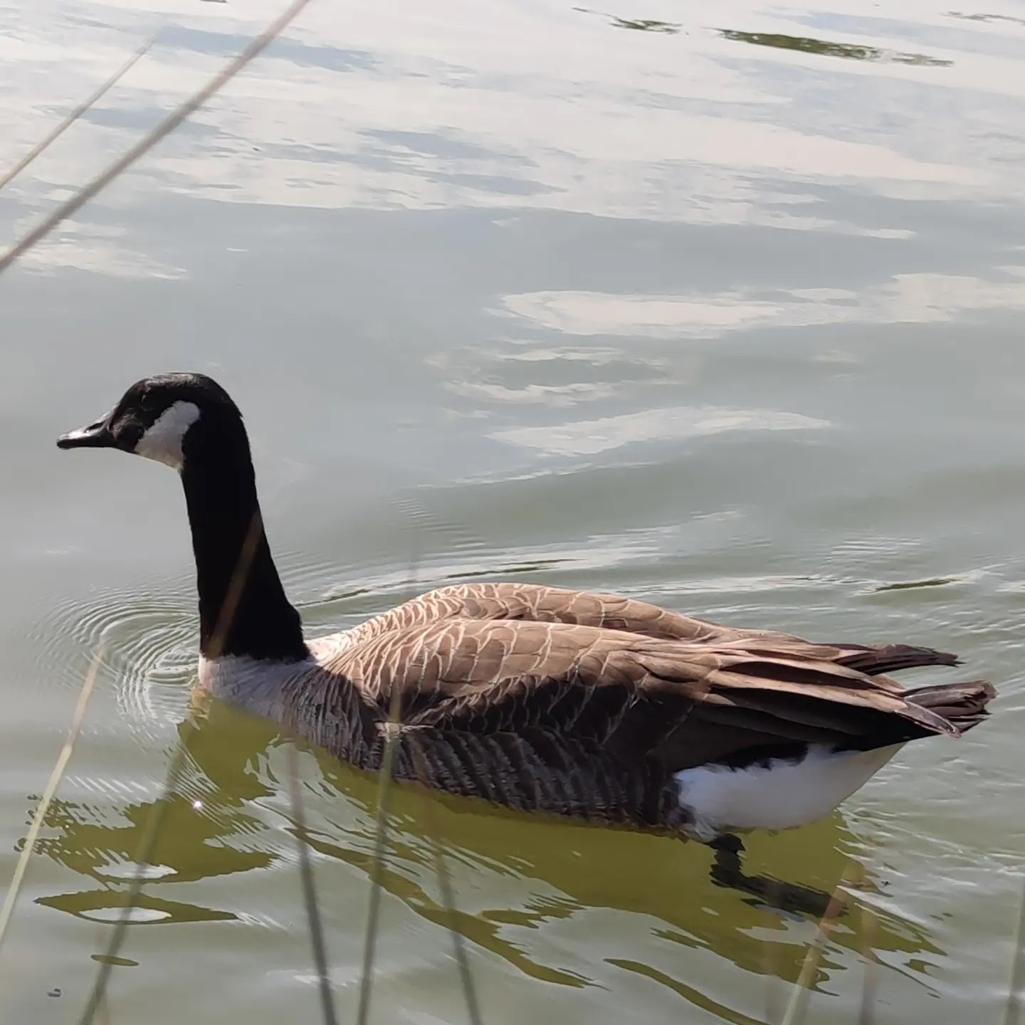 Photo n° 6 de l'avis de Javier.l fait le 20/03/2022 à 12:48