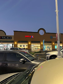 Petco - Photo 5 - Car repair in Los Angeles, CA, Los Angeles