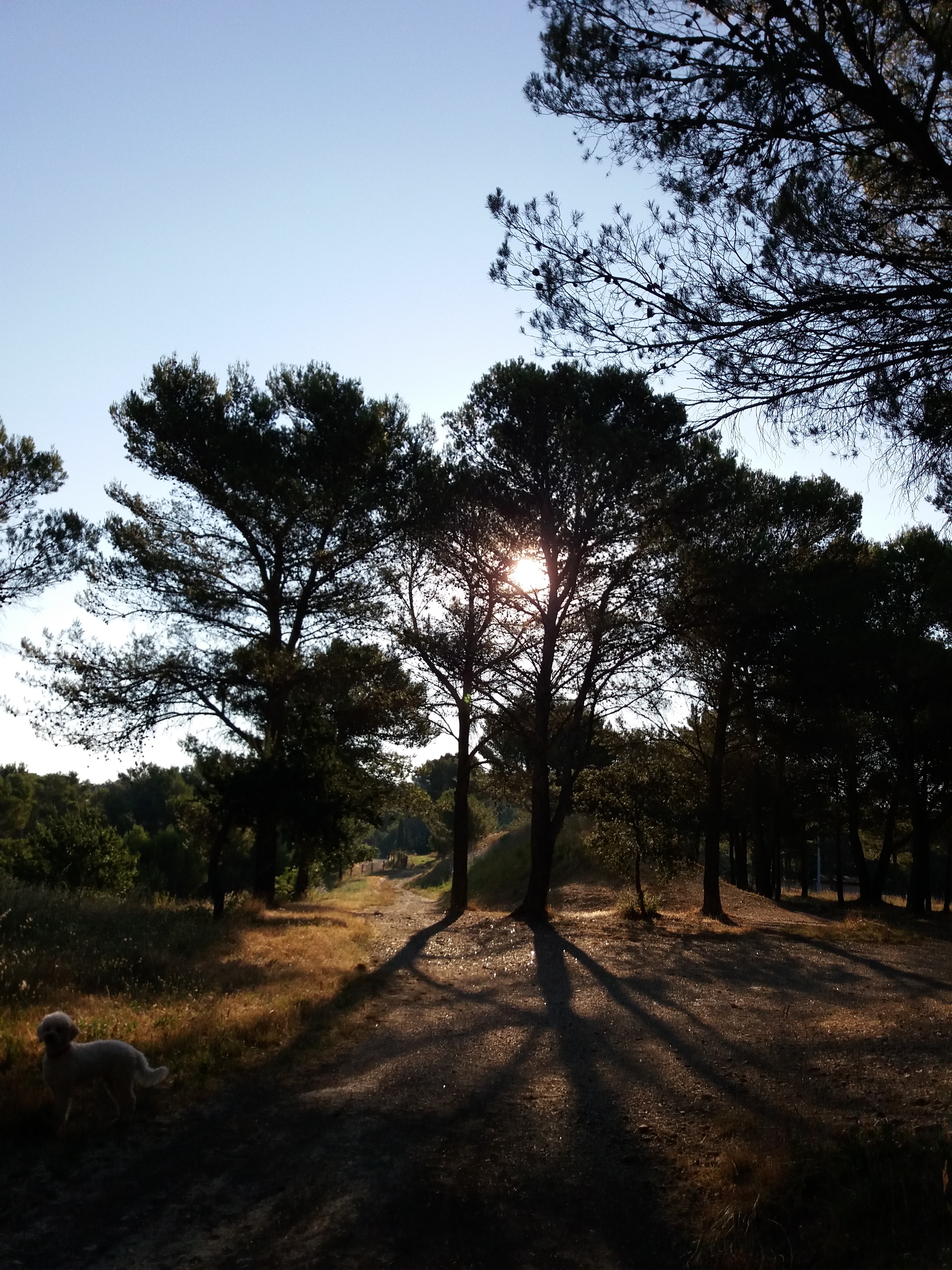 Photo n° 2 de l'avis de Nelly.h fait le 26/07/2019 à 07:25