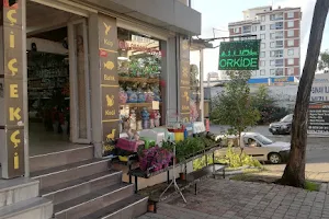 Selcuk Aquarium & Petshops image