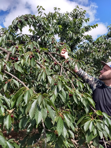 Farm «Eggers Acres», reviews and photos, 20400 NE Trunk Rd, Dundee, OR 97115, USA